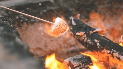 Protected: Marysville